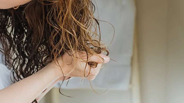 Daily Repair Shampoo